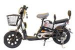 E-Bike-JML6-800 W