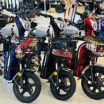 E-Bike-JML4 Rohan wings