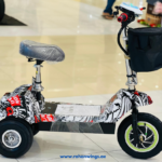 DT-D Rohan Wings Electric Scooter | Smart, Stylish & Reliable Ride, 25km Range