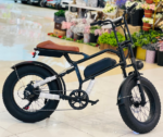 E-Bike-ST20
