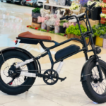 E-Bike-ST20