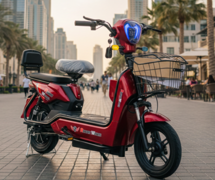 Rohan Wings JY14 Electric Scooter – 48V 12Ah Battery, 350W Motor, 32km/h Speed, 14” Tubeless Tyres