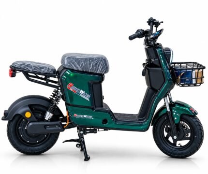 E-Bike-ED01 With Lithium Battery || Delivery Bike With Removable Battery